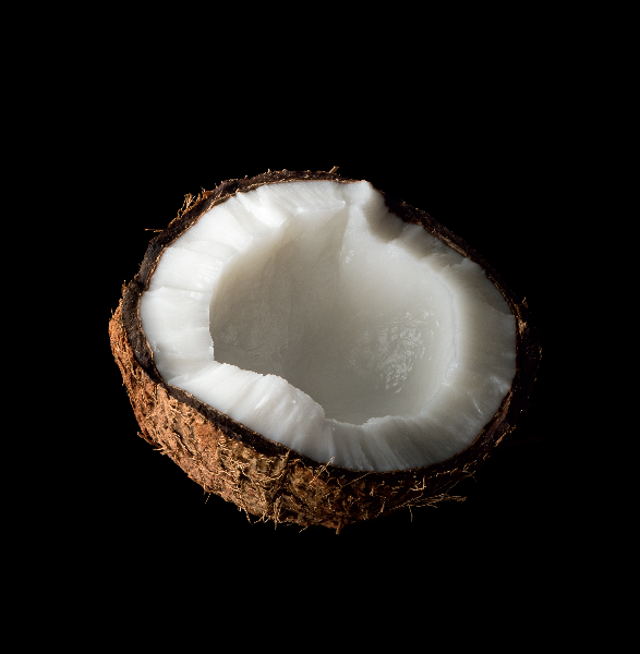 tz coconut