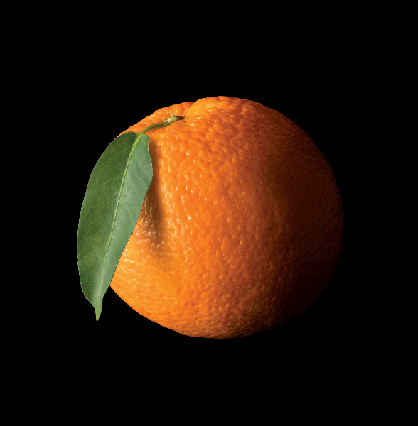 tz orangec